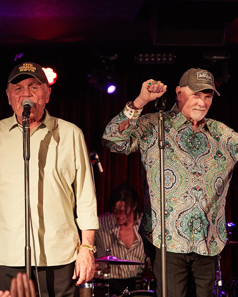 The Beach Boys header