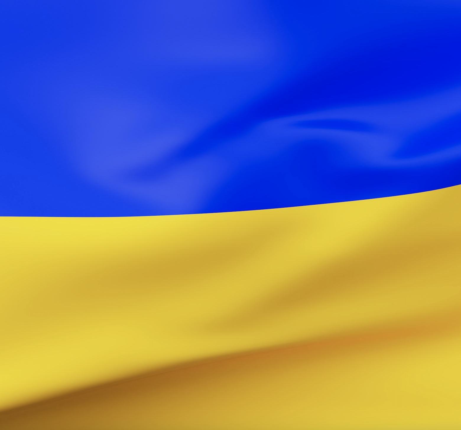 Ukraine Flag