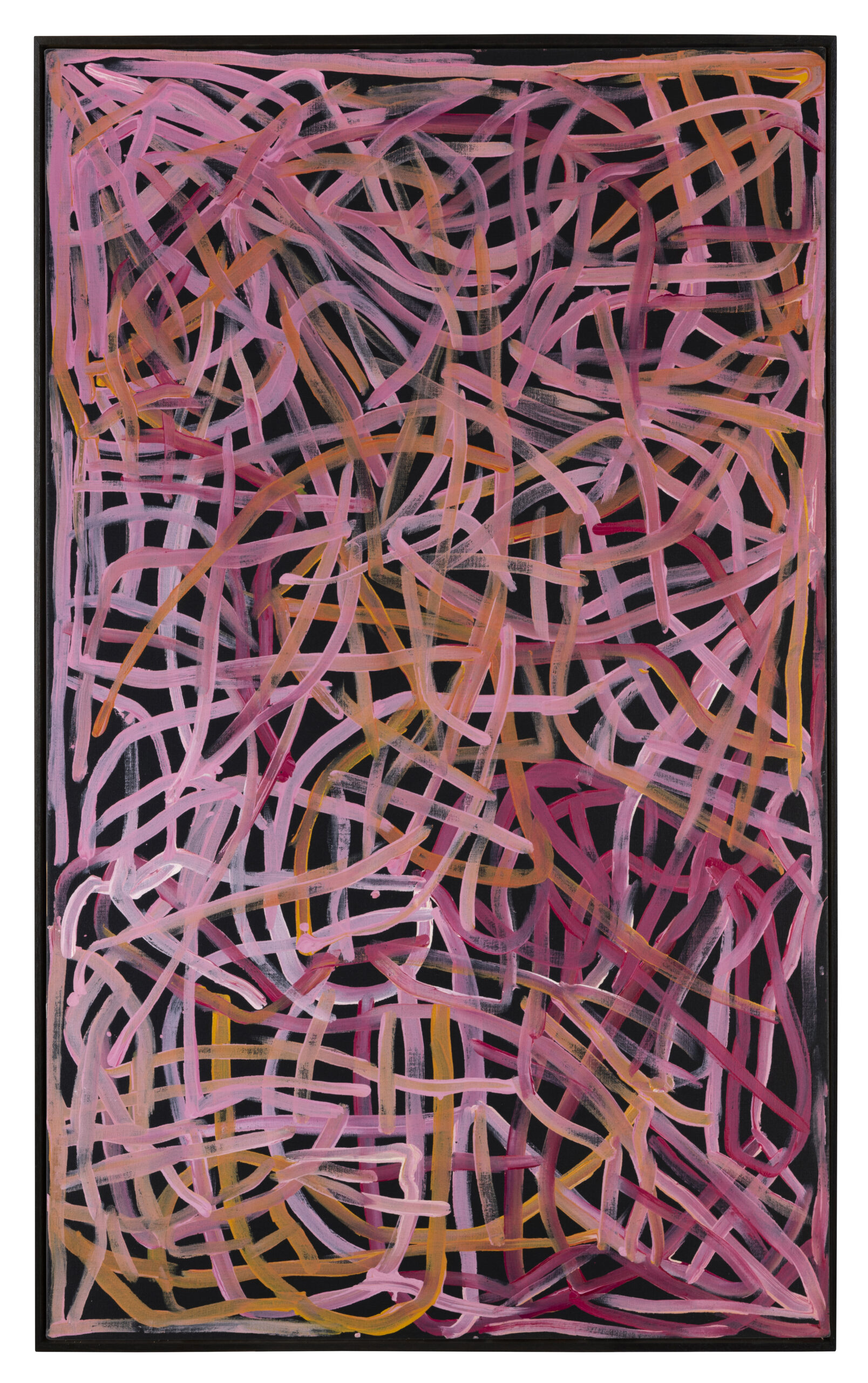 INV-KAME-0346_Main Image