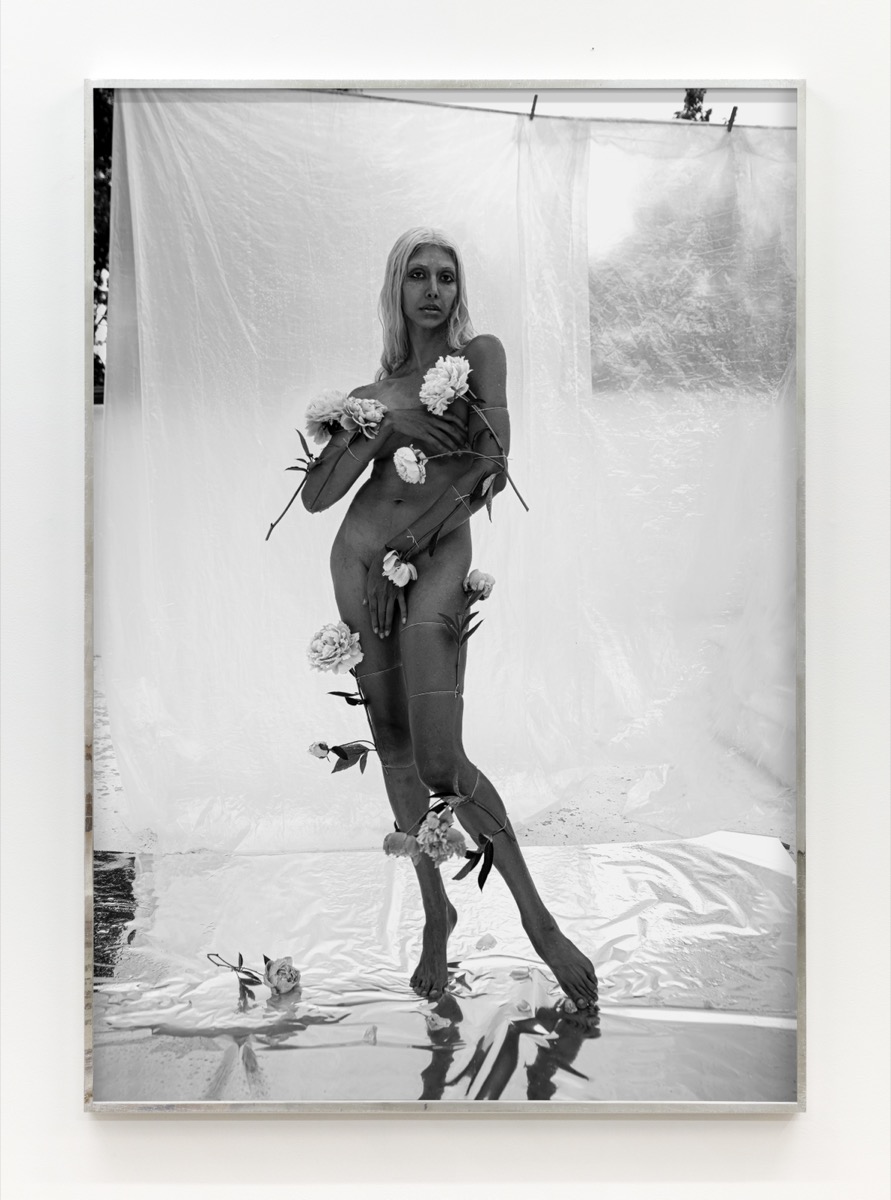 Aphrodite